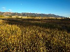 Fields of Everson Ranch under the Moon - 