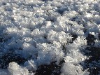 Ice Feathers atop the Reservoir - Suzanne Ewy