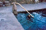 Steps and Railing at Swimming Pool - Doug Bates