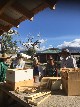 Learning at the Everton Ranch - Sabine Borchers