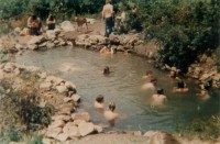 70s Photo of Party Pool