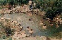 1970s Sharing the Main Pond