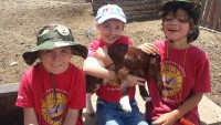Happy Kids and Goat