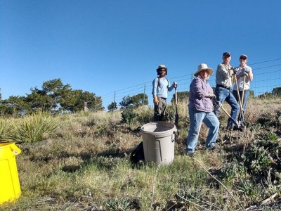 Volunteers helping with weed pull 2017