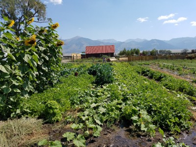 Gardens at Everson Ranch