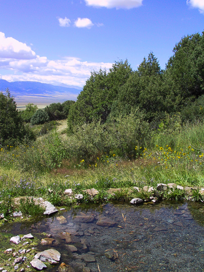 Meadow Pond